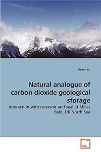 Natural analogue of carbon dioxide geological storage