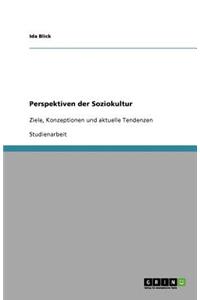 Perspektiven der Soziokultur
