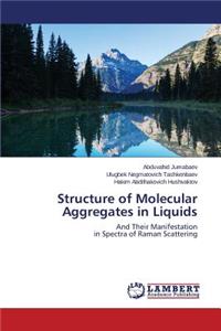 Structure of Molecular Aggregates in Liquids