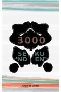 3000 Sekunden