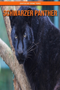 Schwarzer Panther! (Entdecke deine Tiere)