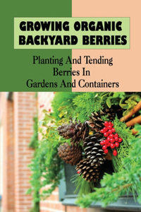 Growing Organic Backyard Berries
