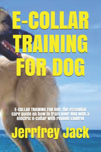 E-Collar Training for Dog
