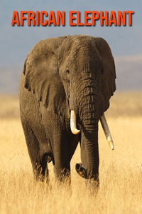 African Elephant
