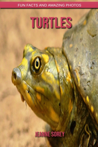 Turtles