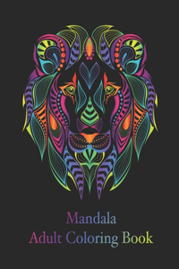 Mandala Adult Coloring Book