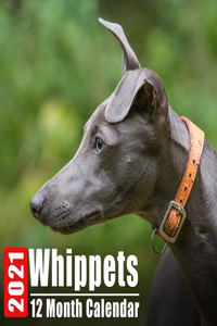 Calendar 2021 Whippets
