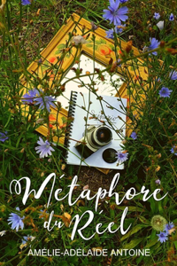 Métaphore du réel