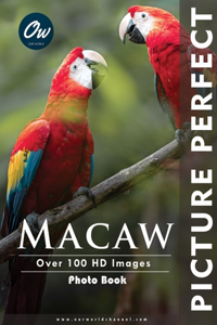 Macaw