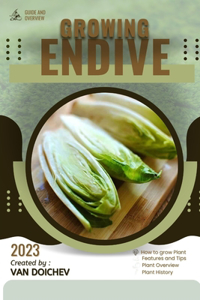 Endive
