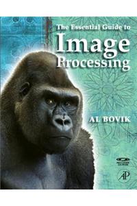 The Essential Guide to Image Processing