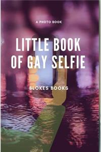 Little book of Gay Selfie