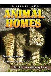 Steck-Vaughn Boldprint Anthologies: Leveled Reader 6pk Yellow Animal Homes