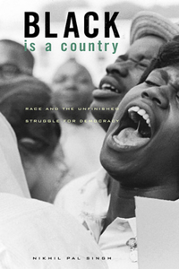 Black Is a Country: Race and the Unfinished Struggle for Democracy