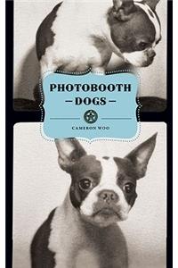 Photobooth Dogs