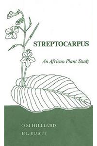 Streptocarpus