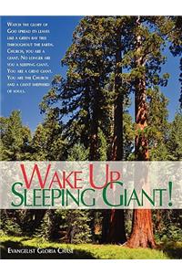 Wake Up Sleeping Giant