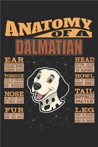 Anatomy Of A Dalmatian