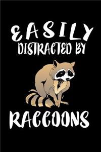 Easily Distracted By Raccoons