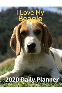 I Love My Beagle