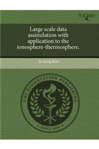 Large Scale Data Assimilation with Application to the Ionosphere-Thermosphere