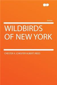 Wildbirds of New York