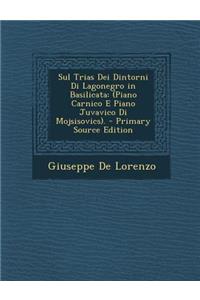 Sul Trias Dei Dintorni Di Lagonegro in Basilicata