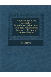 Ameisen Aus Dem Westlichen Mittelmeergebiet Und Von Den Kanarischen Inseln.