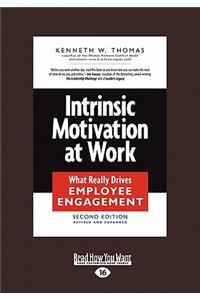 Intrinsic Motivation at Work