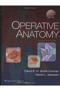 Operative Anatomy