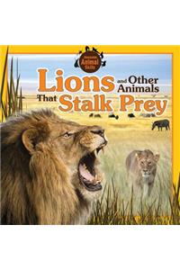 Lions and Other Animals That Stalk Prey