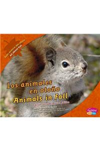Los Animales En Otoño/Animals in Fall