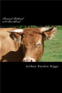 Bruised, Battered and Bewildered: A true story of an Alcoholics life