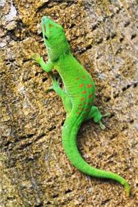 An Adorable Green Madagascar Gecko on a Palm Tree Journal: 150 Page Lined Notebook/Diary