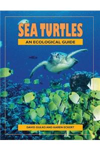 Sea Turtles