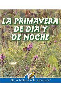 La Primavera de Dia Y de Noche