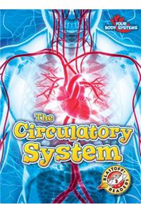 The Circulatory System