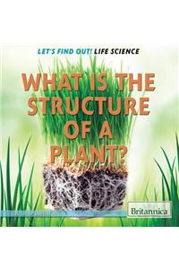 What Is the Structure of a Plant?