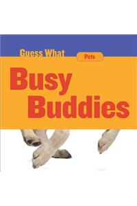 Busy Buddies