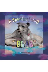 Spiritual Dog