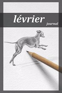 lévrier journal