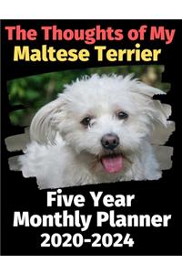 The Thoughts of My Maltese Terrier