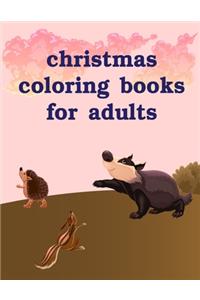 Christmas Coloring Books For Adults