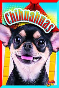 Chihuahuas