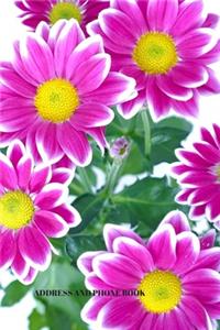 Address and Phone Book