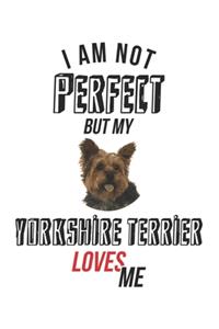 I'm not perfect, but my Yorkshire Terrier loves me