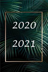 2020 / 2021