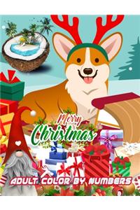 Merry Christmas Adult Color By Numbers