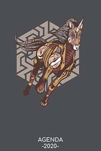 Agenda 2020
