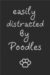 Easily distracted by Poodles